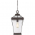 Quoizel Ravine QZ-RAVINE8-L